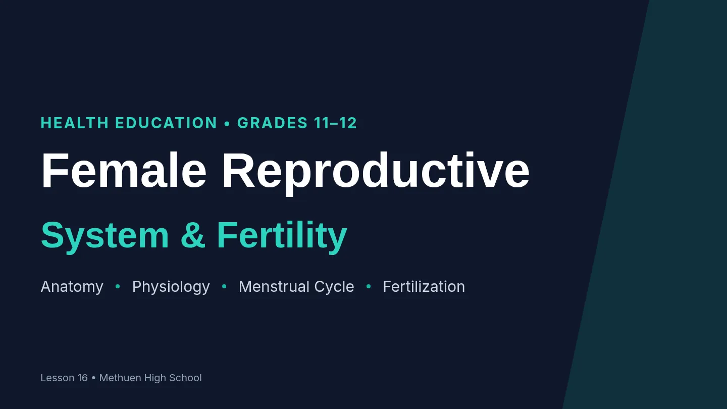 Female Reproduction Slides