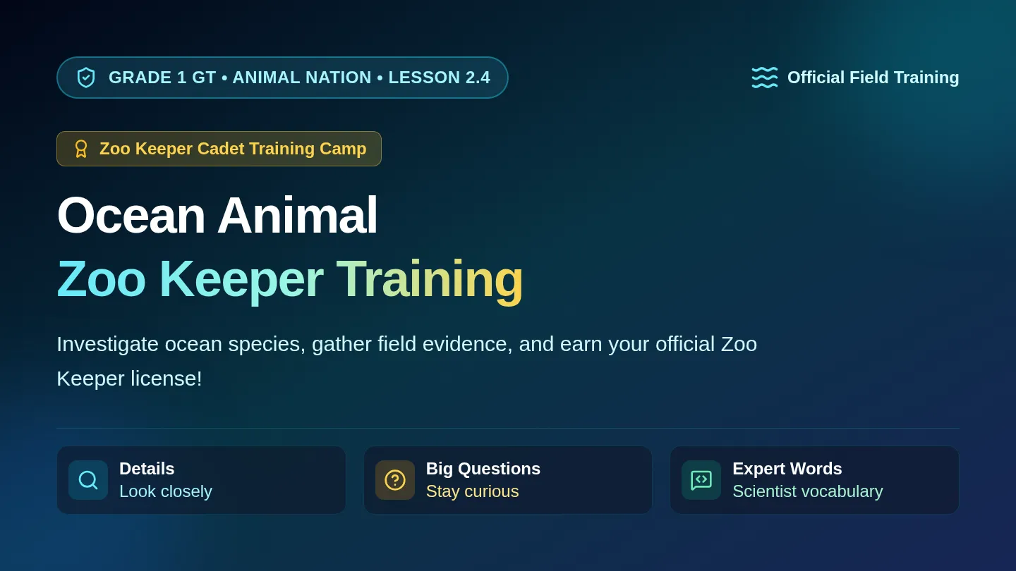 Ocean Zoo Keeper Slides
