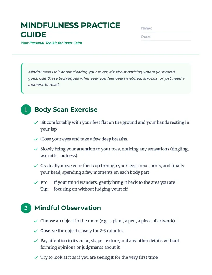 Mindfulness Action Guide Handout