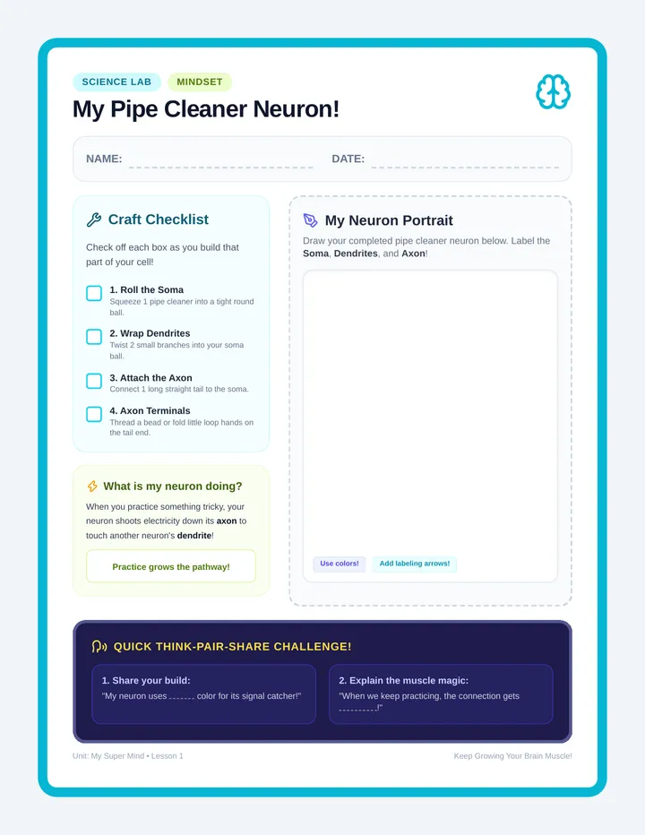 Pipe Cleaner Neurons Activity Sheet