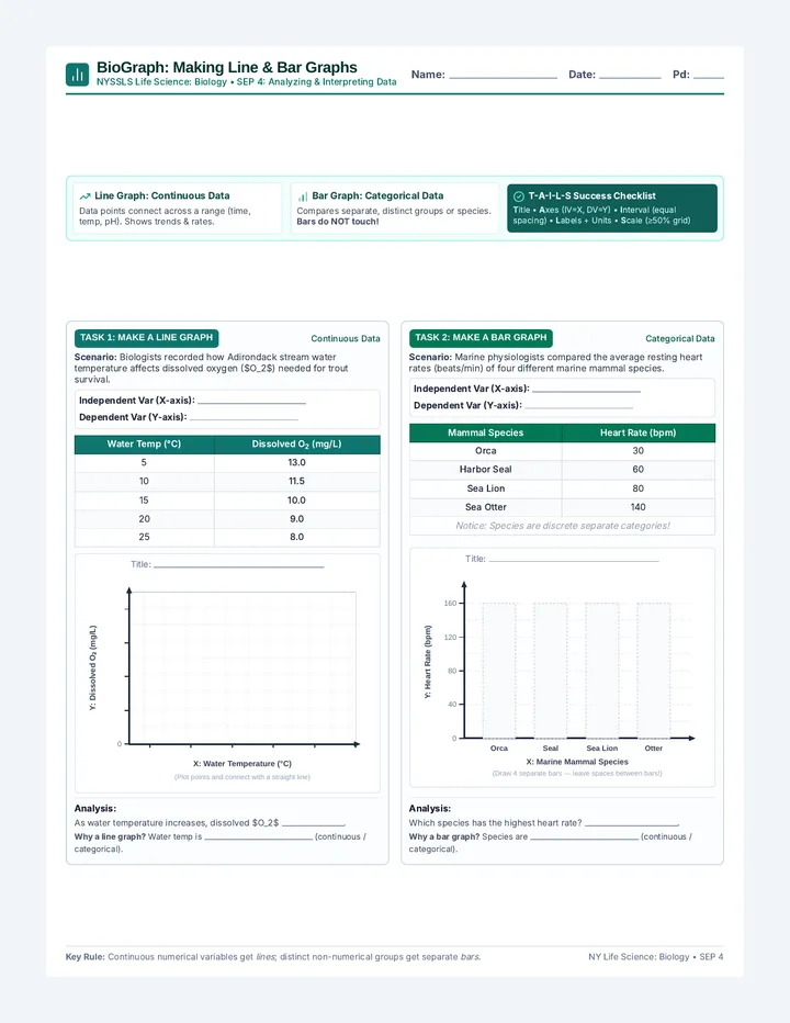 BioGraph Essentials Worksheet