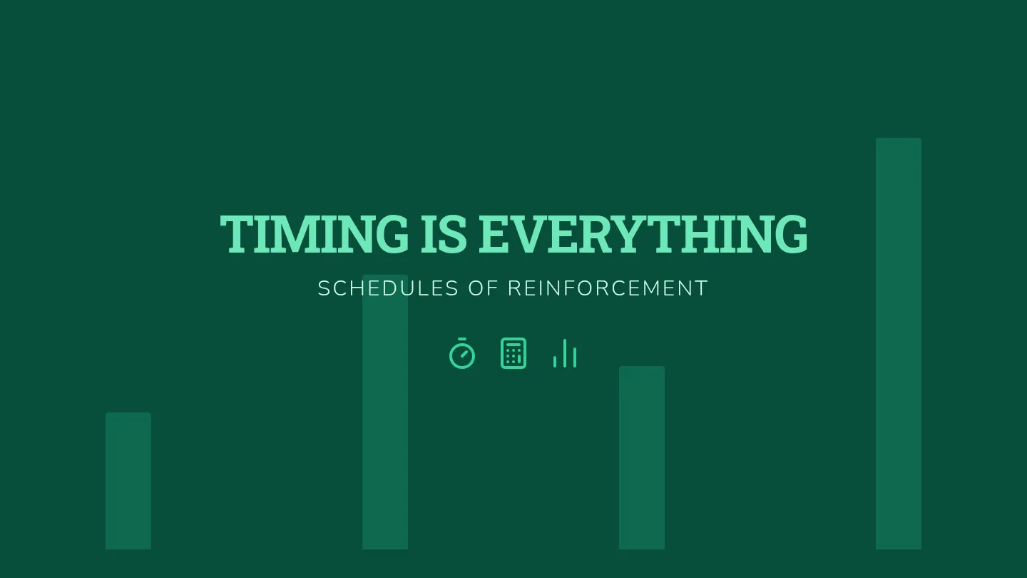 Reinforcement Timing Slides