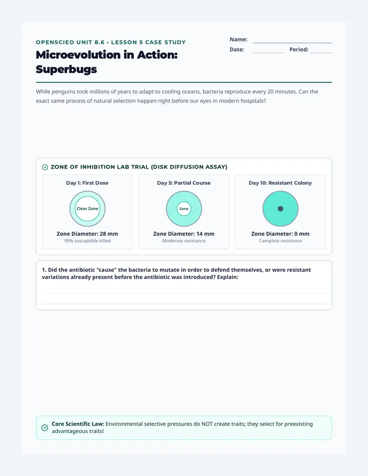 Superbug Resistance Analysis