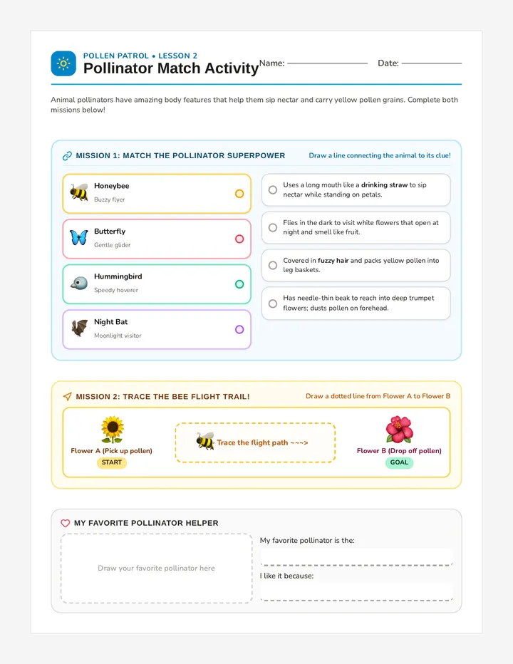Pollinator Match Activity