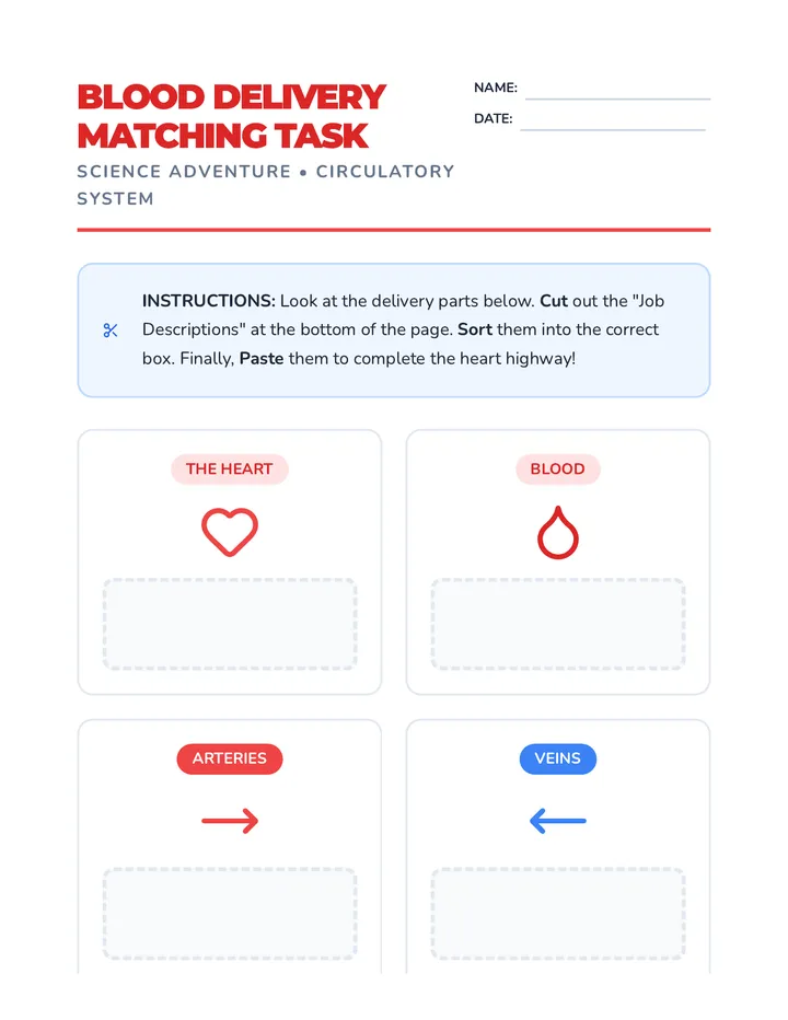 Blood Delivery Matching Task