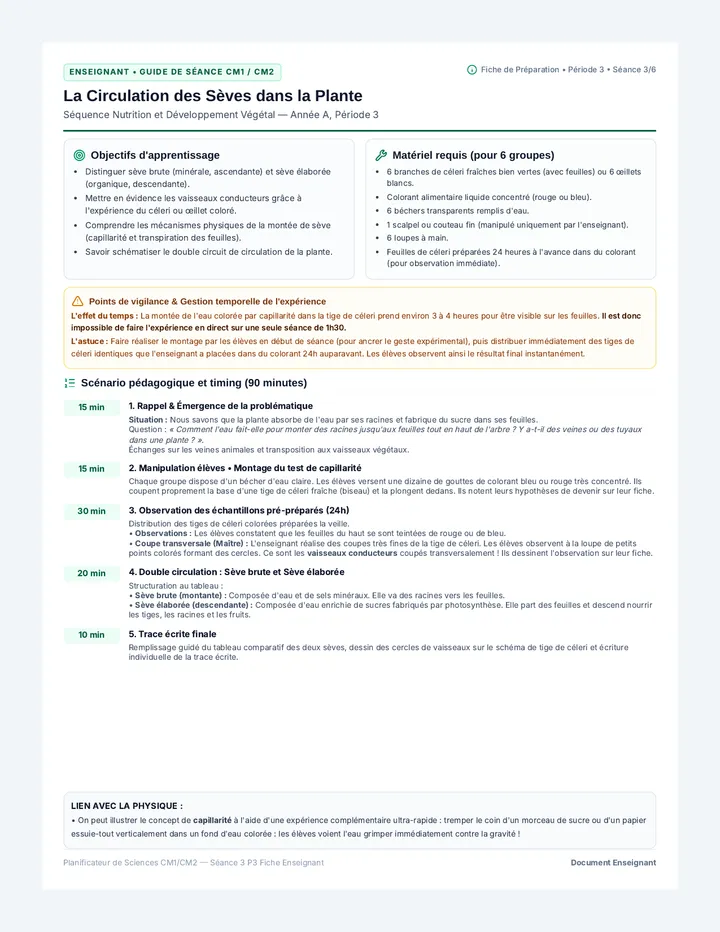 Circulation Sèves Fiche Enseignant