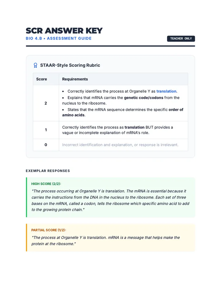 Blueprint Assessment Key