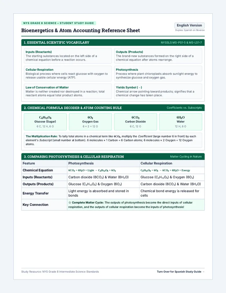 Matter Cycles Study Guide