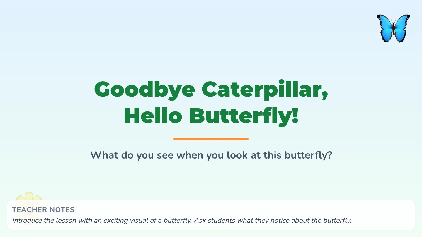 Butterfly Life Cycle Slides