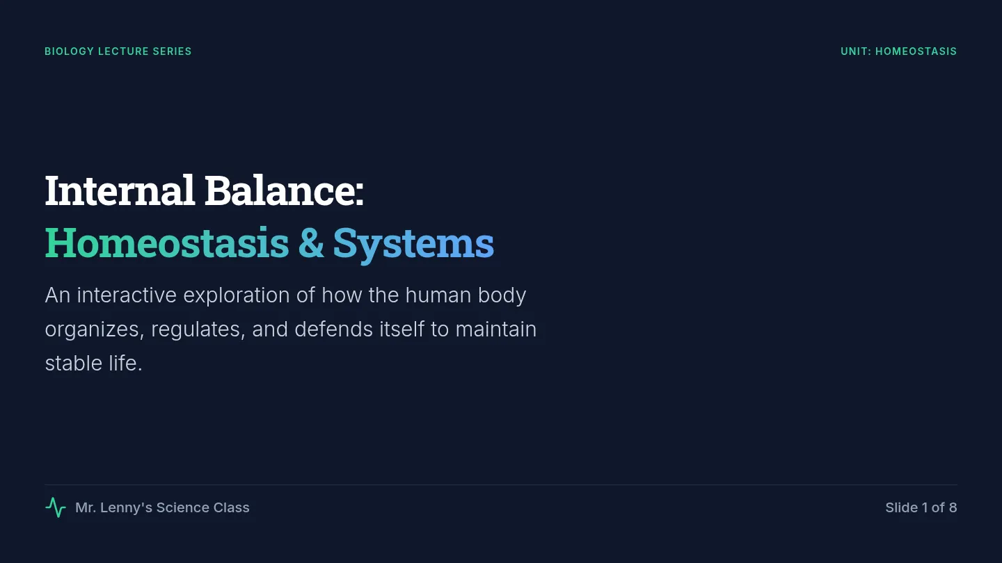 Internal Balance Slides