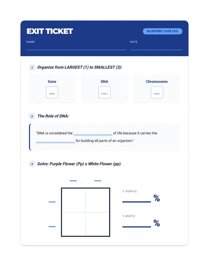Blueprint Exit Ticket