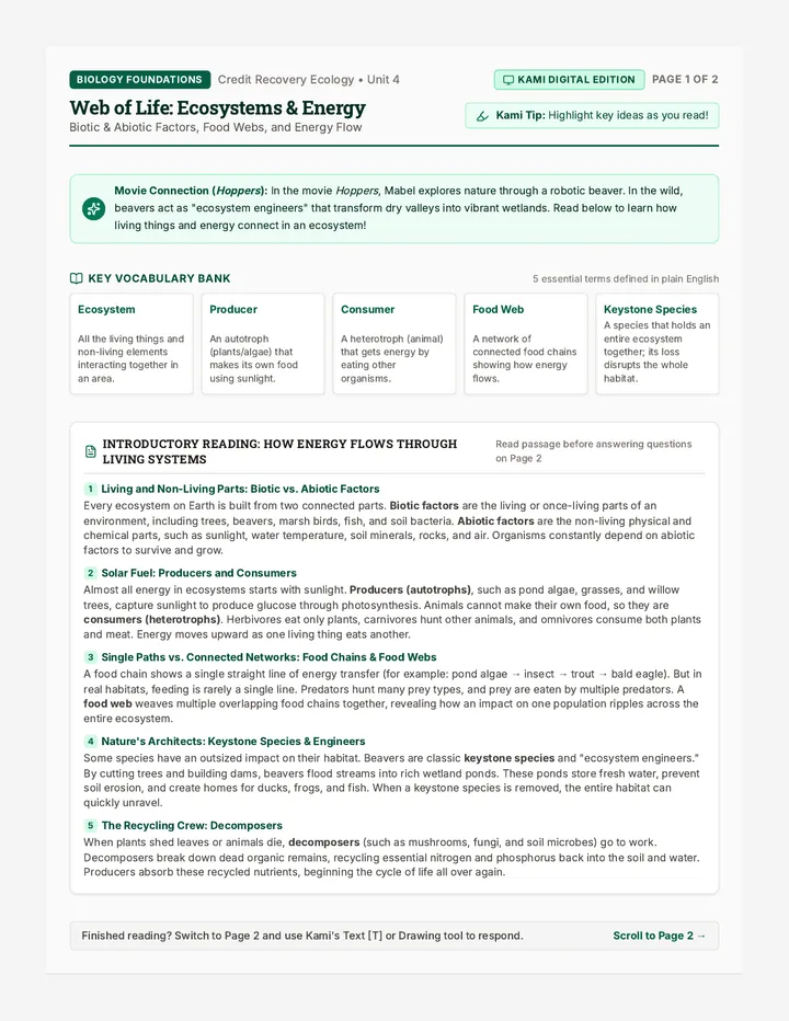 Web of Life Worksheet