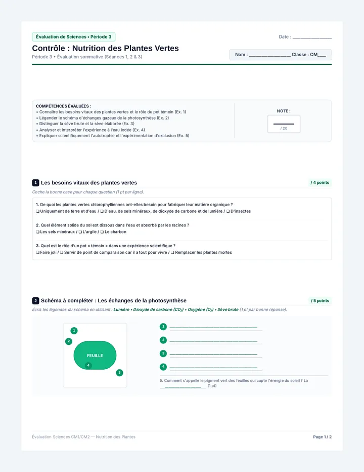 Évaluation Nutrition Plantes