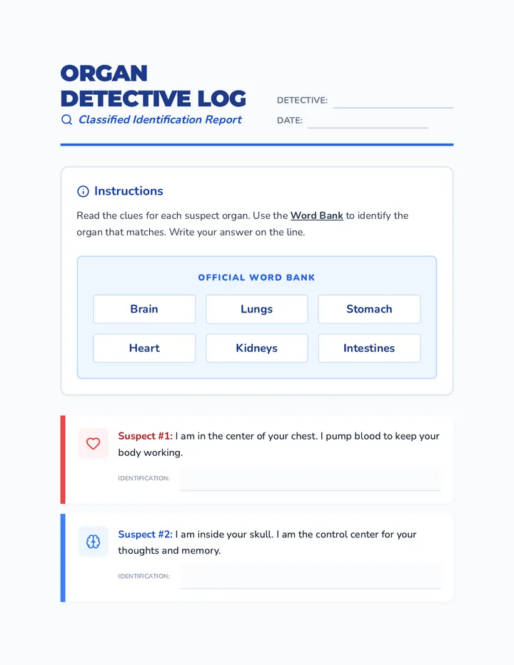 Organ Detectives Worksheet