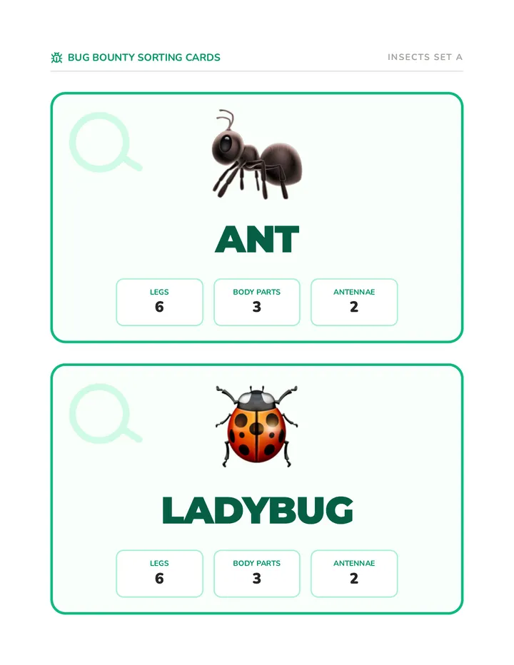 Bug Bounty Cards
