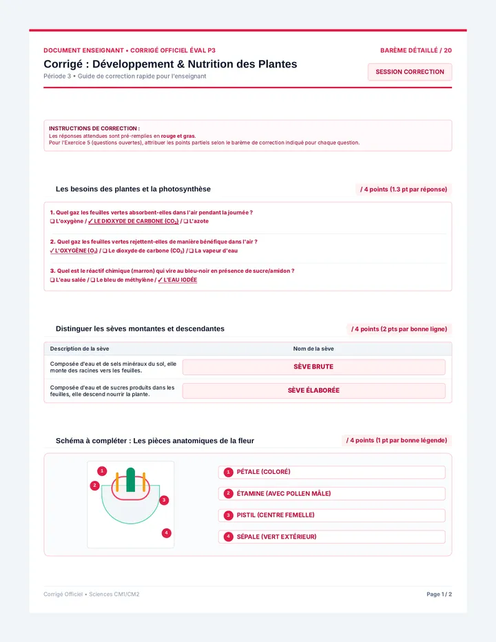 Corrigé Évaluation Développement Plantes
