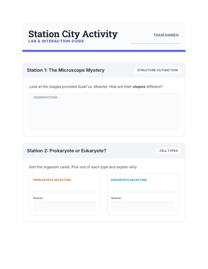 Station City Activity