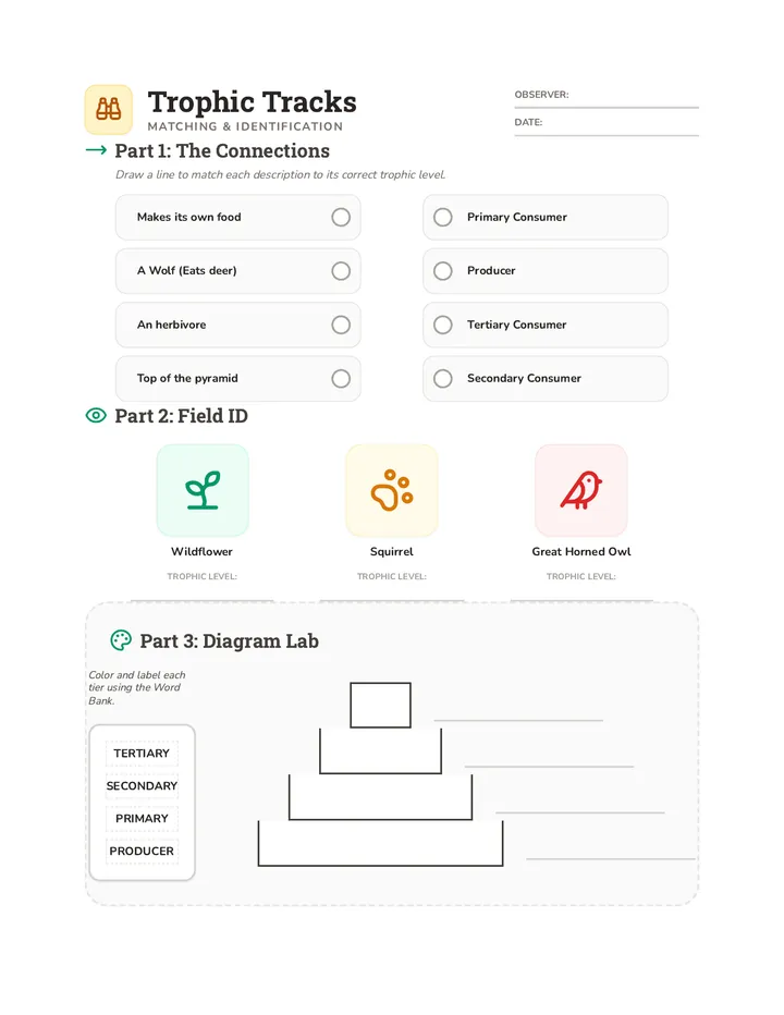 Trophic Tracks Worksheet