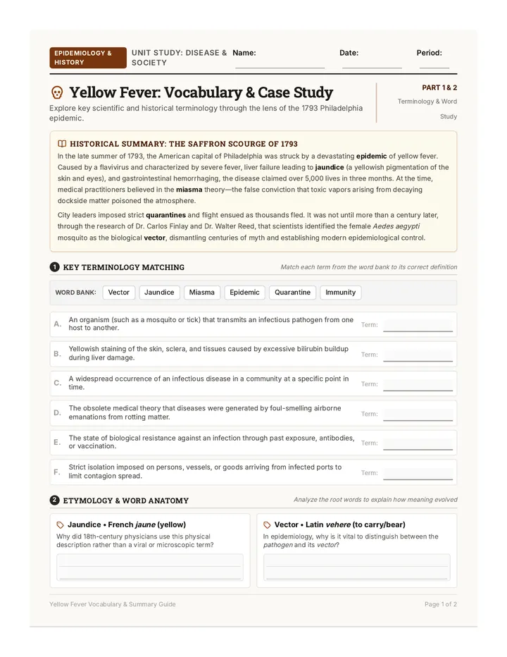 Yellow Fever Vocabulary Worksheet