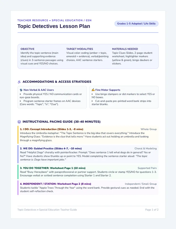 Topic Detectives Guide