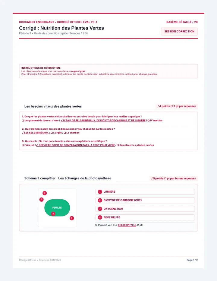 Corrigé Évaluation Nutrition Plantes
