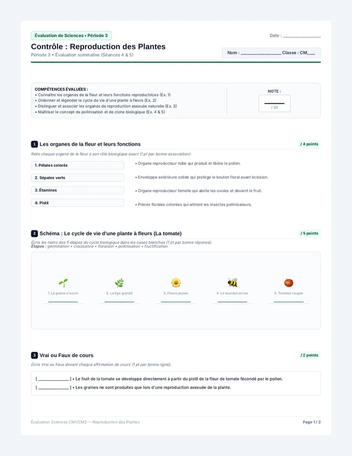Évaluation Reproduction Plantes