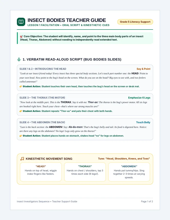 Insect Bodies Teacher Guide
