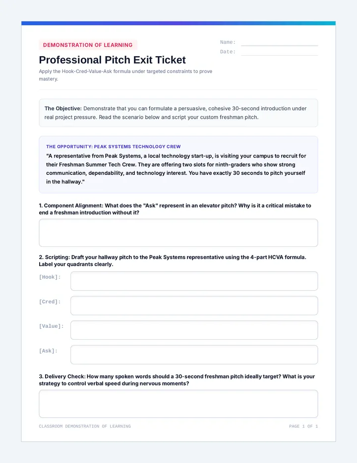 Professional Pitch Exit Ticket