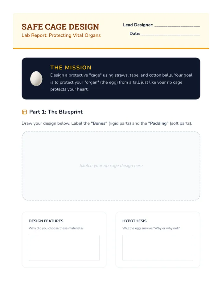 Safe Cage Worksheet