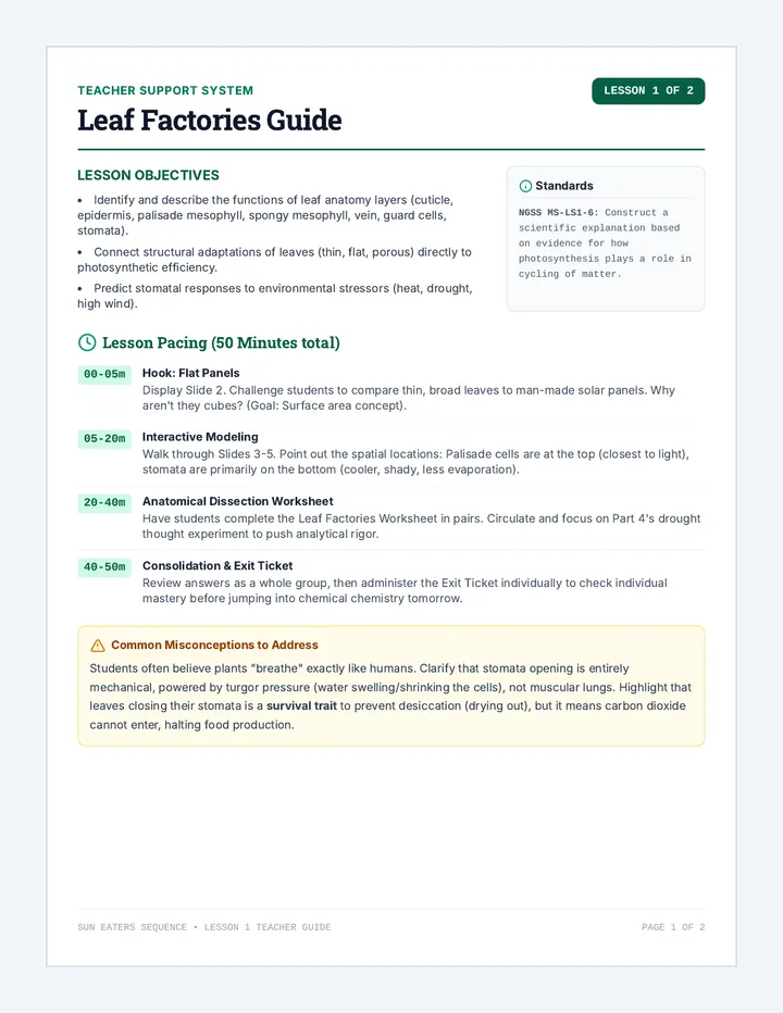Leaf Factories Teacher Guide