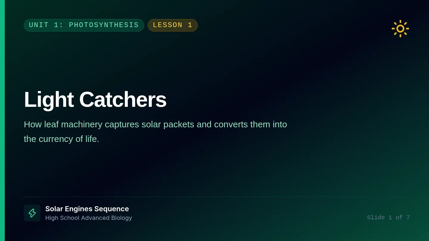 Light Catchers Slides