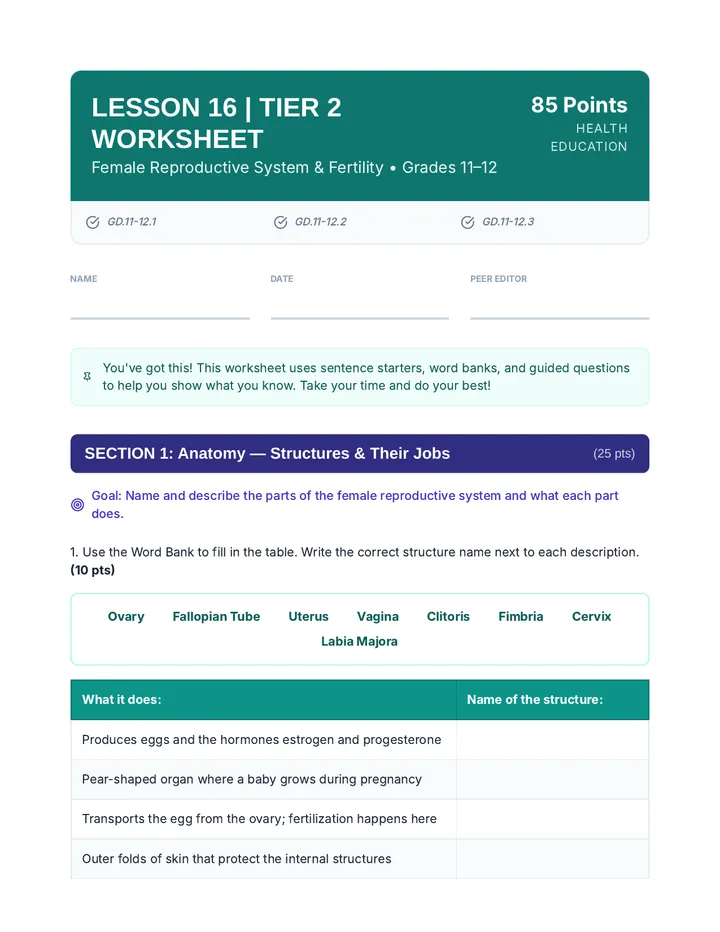 Female Reproduction Tier 2 Worksheet