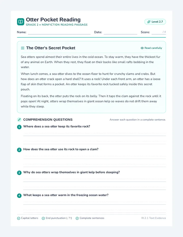 Otter Pocket Reading Worksheet