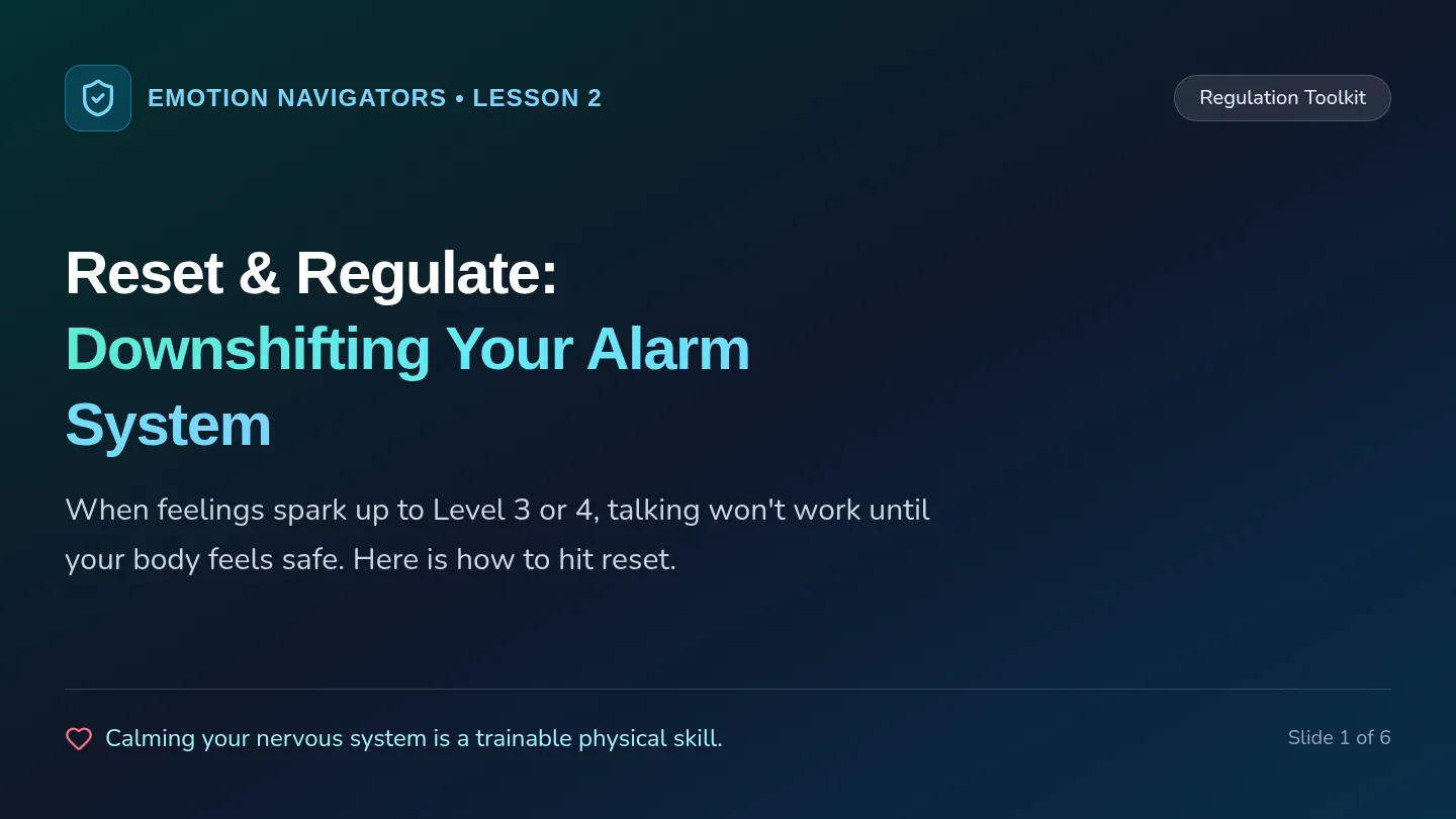 Calm Control Slides