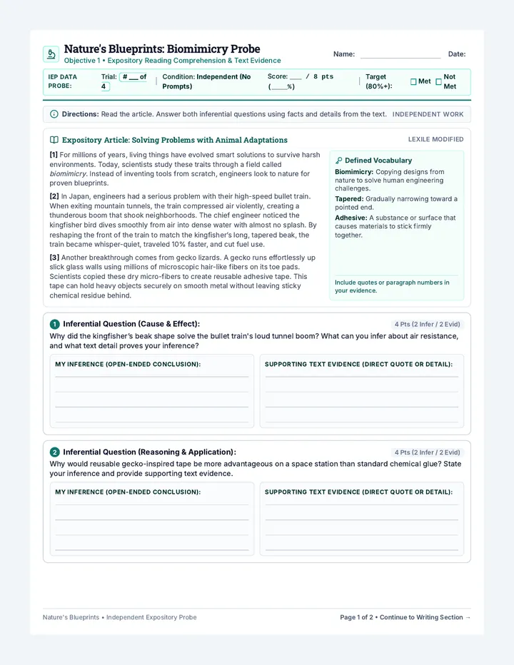 Biomimicry Probe Worksheet
