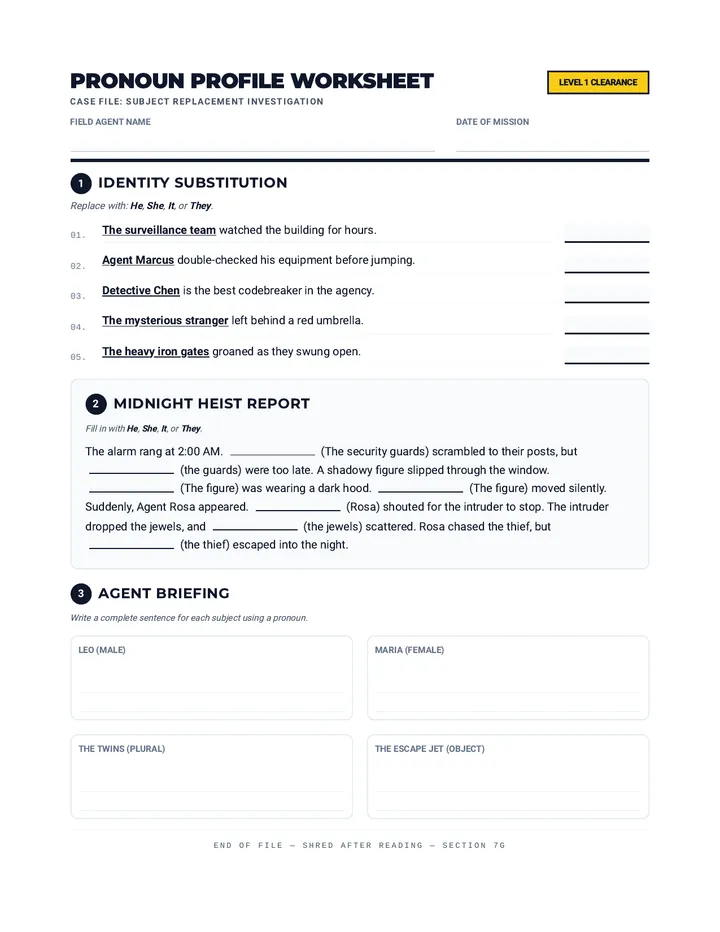 Pronoun Profile Worksheet