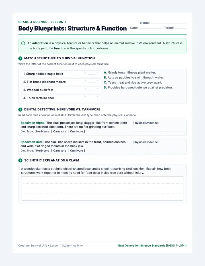 Body Blueprints Worksheet