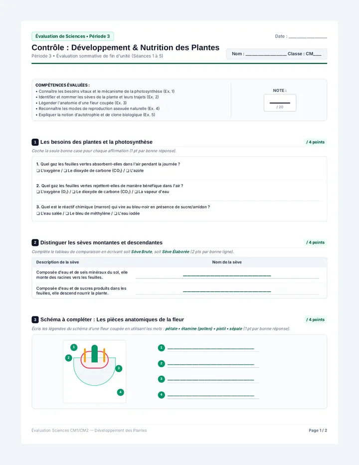 Évaluation Développement Plantes