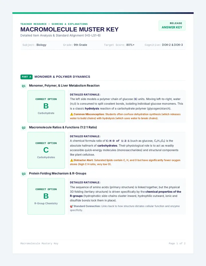 Macromolecule Muster Answer Key