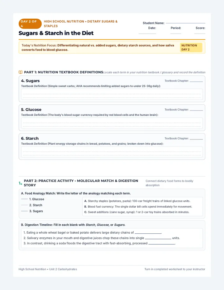 Day 2 Sugars Worksheet