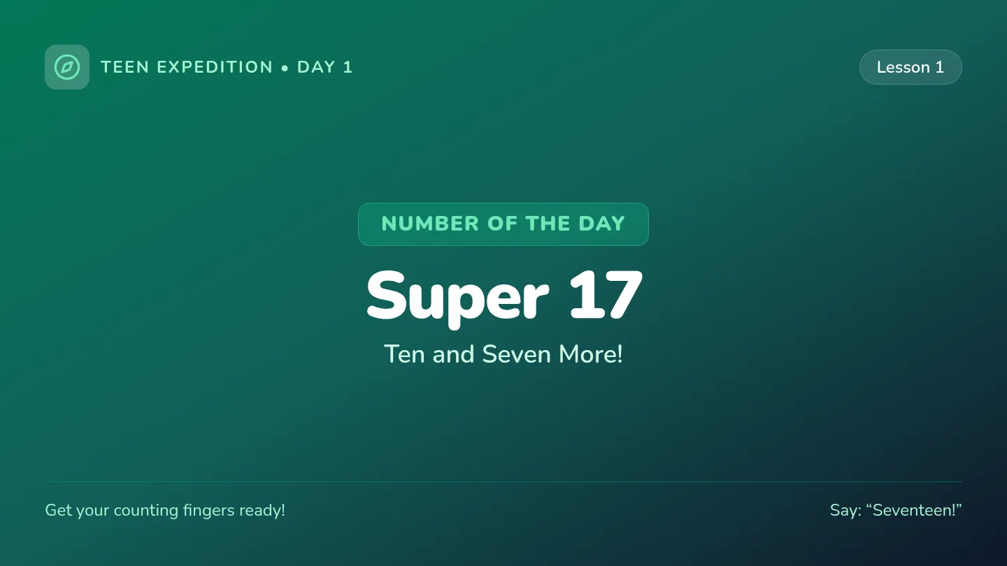 Seventeen Discovery Slides