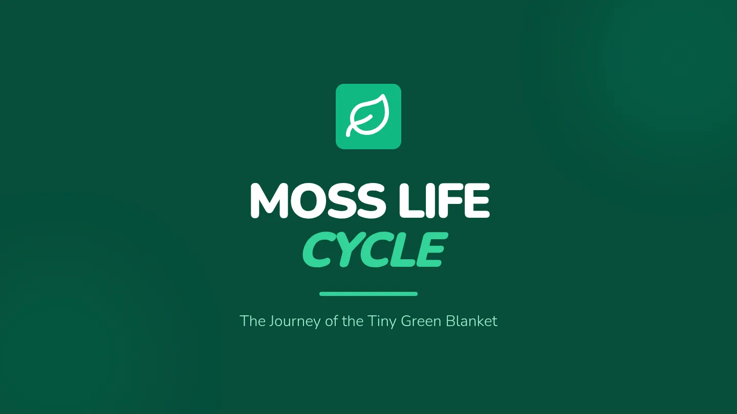 Moss Life Cycle Slides