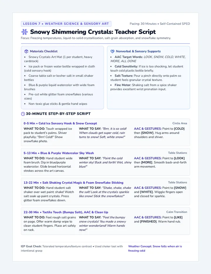 Snowy Crystals Teacher Guide
