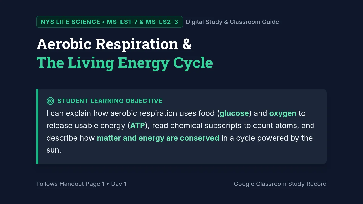 Aerobic Respiration Lesson Slides