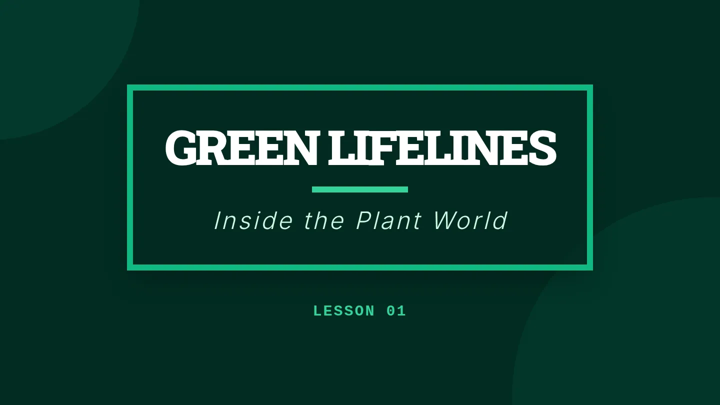Green Lifelines Slides High Visibility