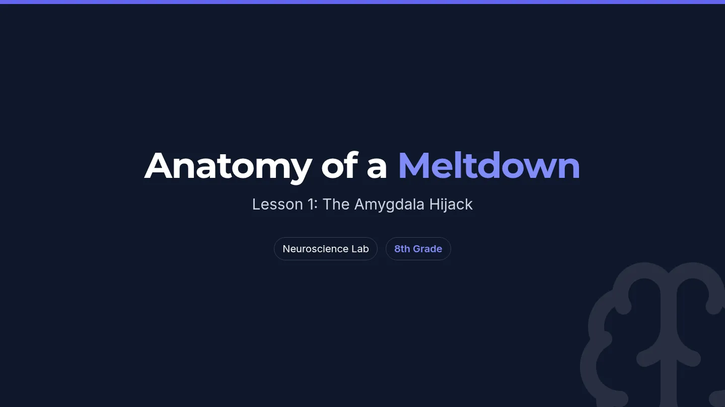 Amygdala Hijack Slides
