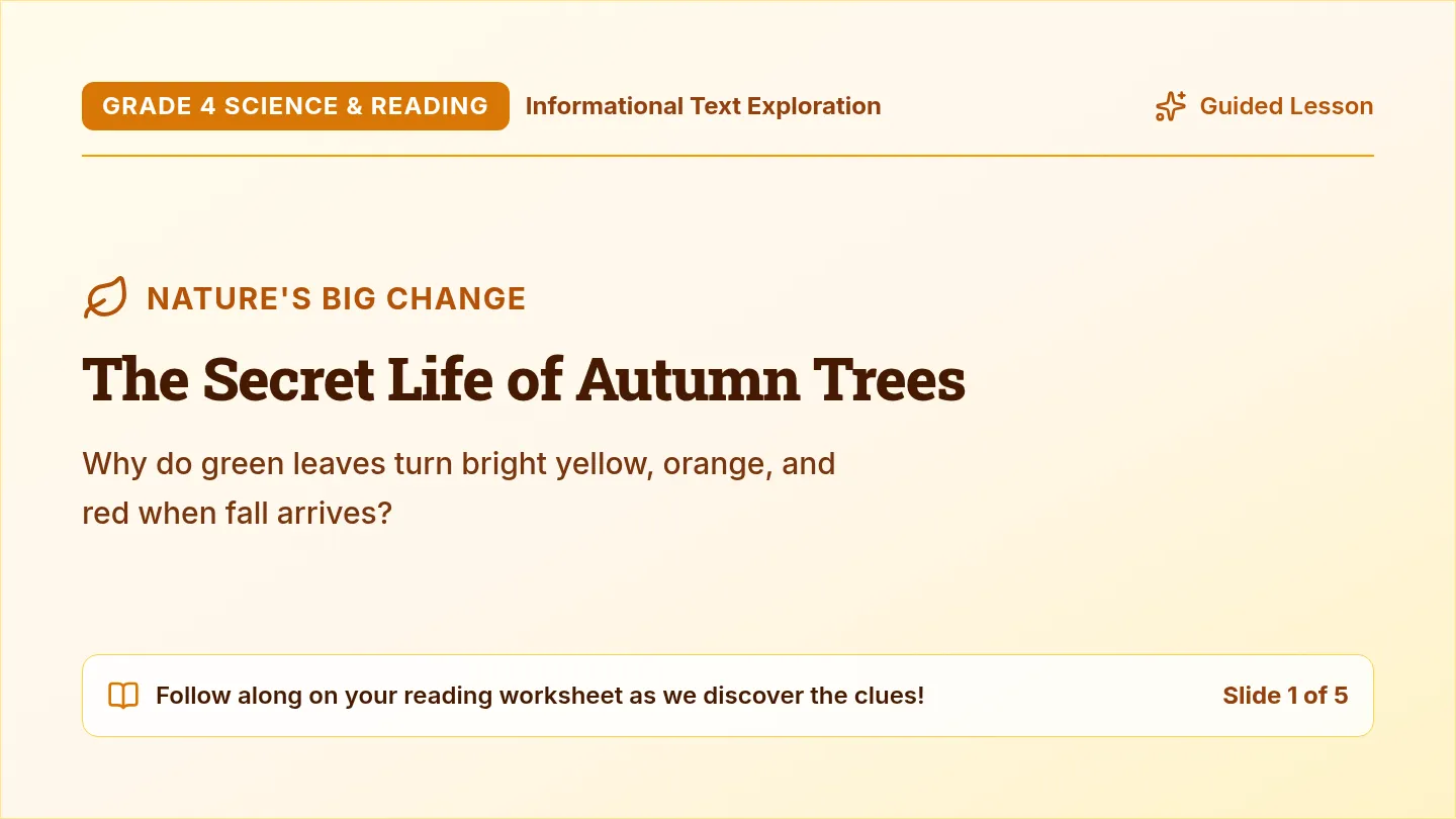 Autumn Secrets Slides