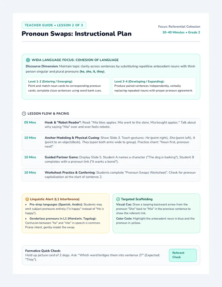 Pronoun Swaps Teacher Guide