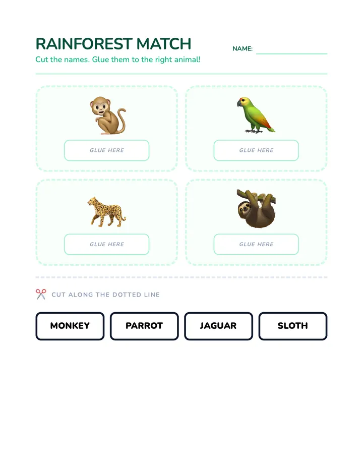 Rainforest Match Activity