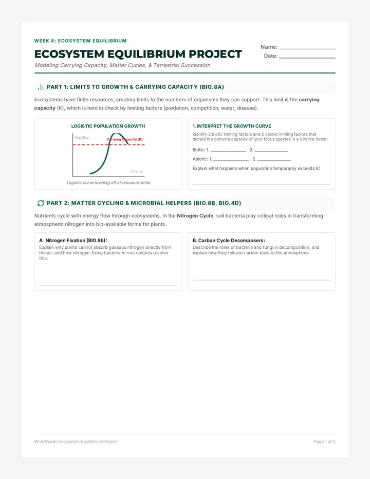 Ecosystem Equilibrium Project